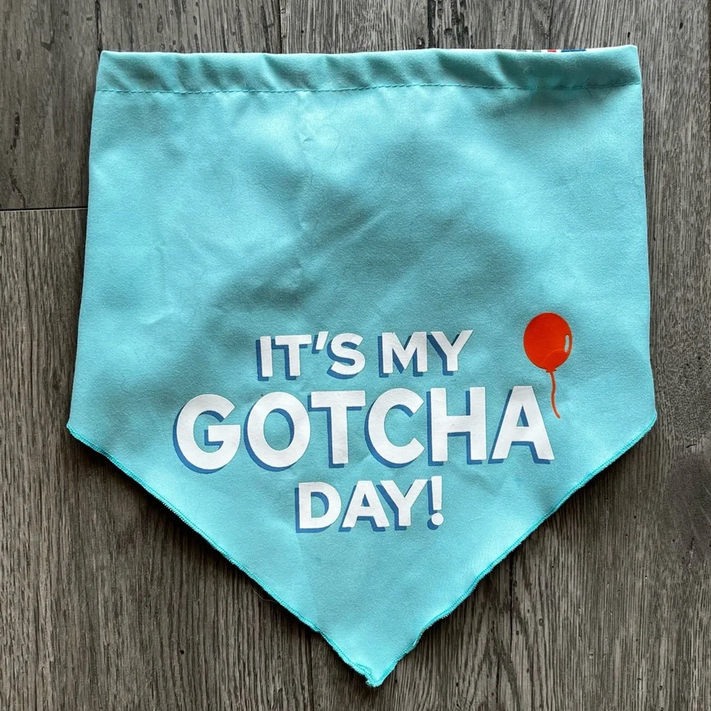Buttons & Bones “It’s My Gotcha Day” Pet Bandana It’s My Birthday Party